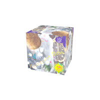 Новогодняя ночь Салют купить в Острогожске | ostrogozhsk.salutsklad.ru