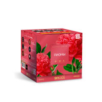 Пионы Салют купить в Острогожске | ostrogozhsk.salutsklad.ru