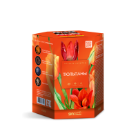 Тюльпаны Салют купить в Острогожске | ostrogozhsk.salutsklad.ru
