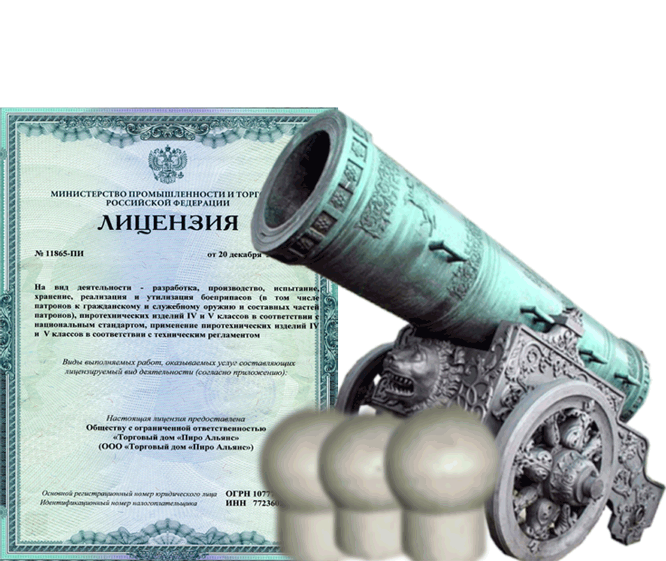 Заказать фейерверк на Новый Год - салют в Острогожске