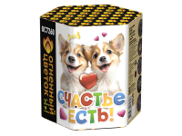 Счастье есть! Салют купить в Острогожске | ostrogozhsk.salutsklad.ru