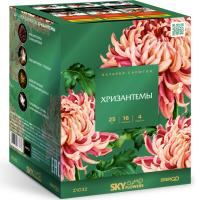 Хризантемы Фейерверк купить в Острогожске | ostrogozhsk.salutsklad.ru