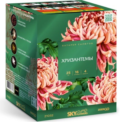 Хризантемы Фейерверк купить в Острогожске | ostrogozhsk.salutsklad.ru