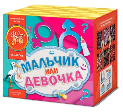 Мальчик или девочка М Фейерверк купить в Острогожске | ostrogozhsk.salutsklad.ru